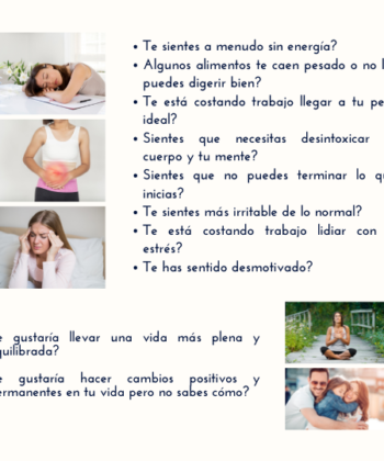 Coaching Vida Ayurveda