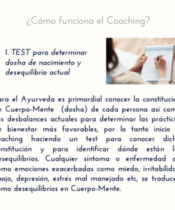 Coaching Vida Ayurveda