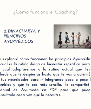 Coaching Vida Ayurveda