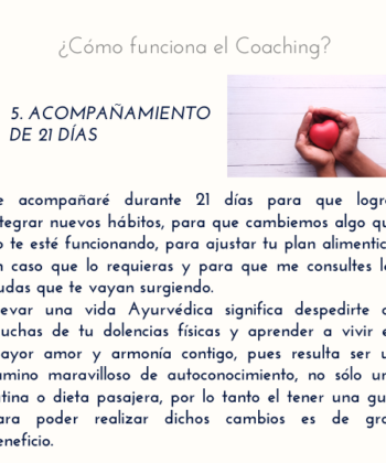 Coaching Vida Ayurveda