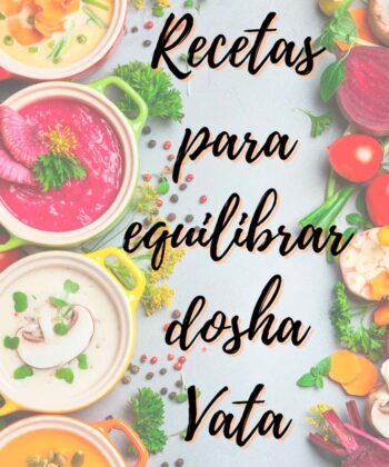 recetas dosha
