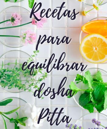 recetas pitta