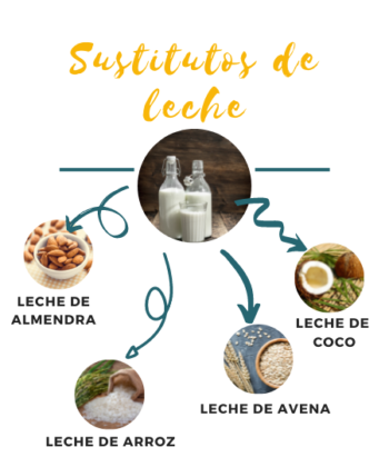 Sustitutos de leche